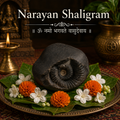 Narayan Shaligram