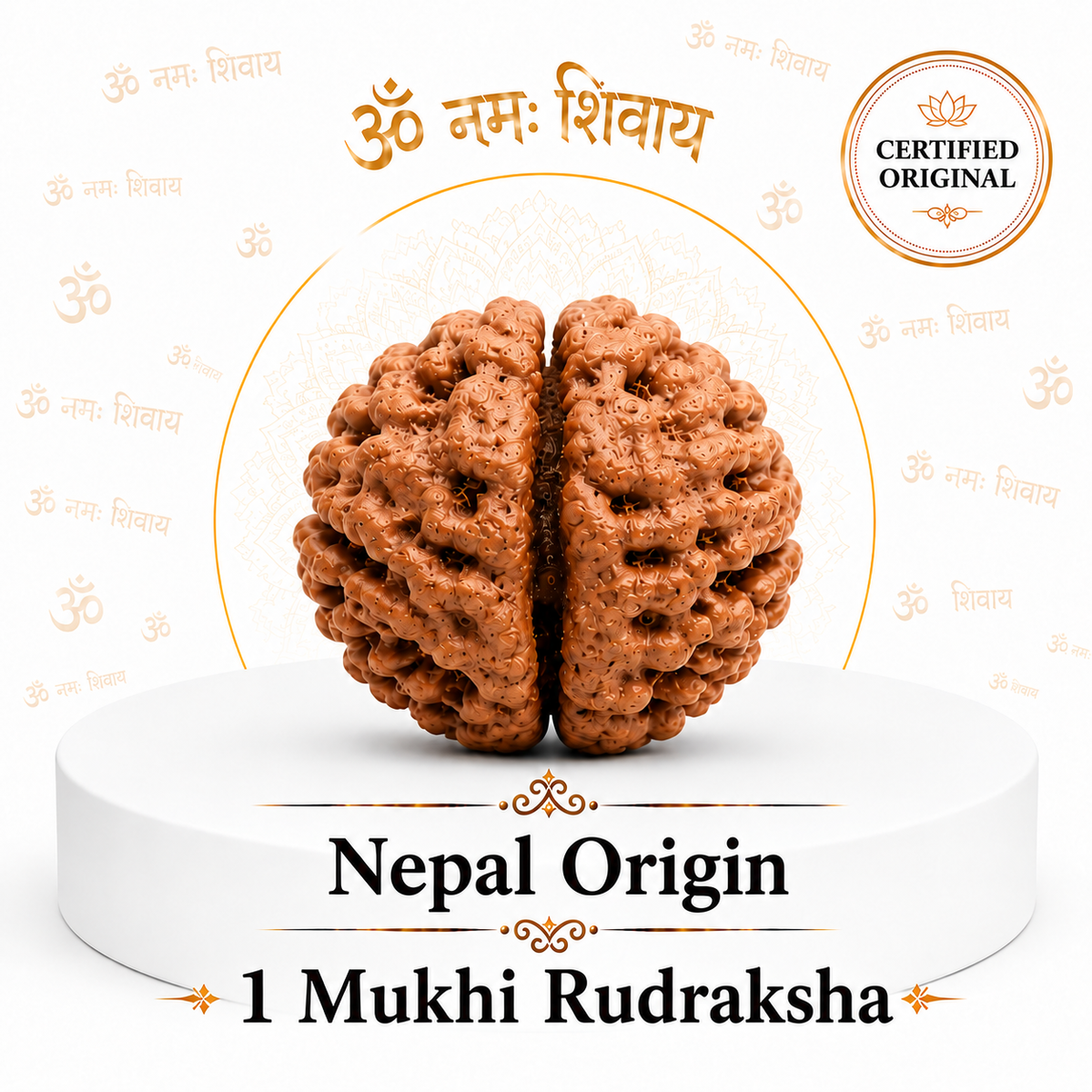 1 Mukhi Rudraksha (Nepal Origin)