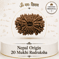 20 Mukhi Rudraksha (Nepal Origin)