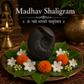 Madhav Shaligram