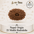 21 Mukhi Rudraksha (Nepal Origin)
